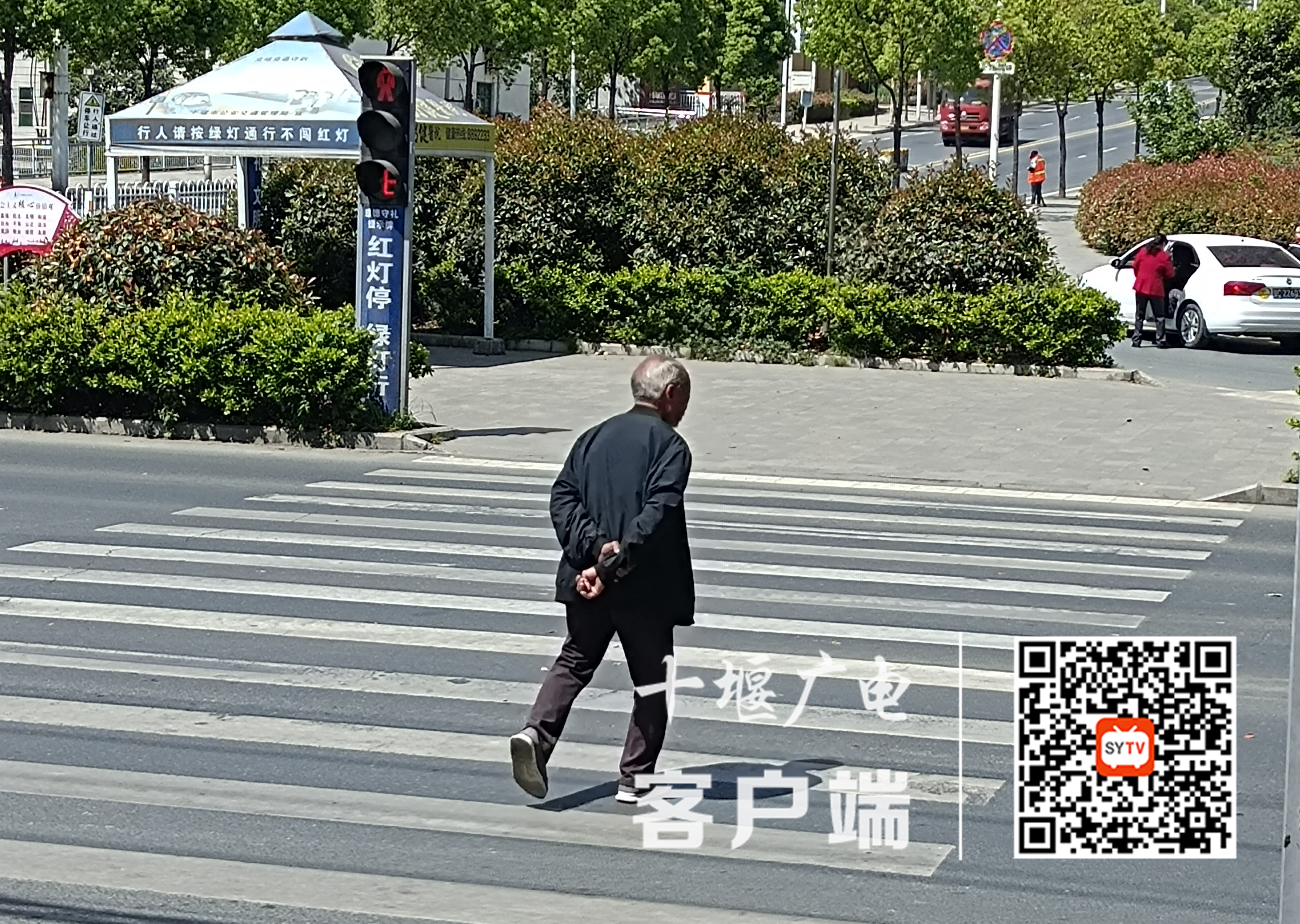 图片1