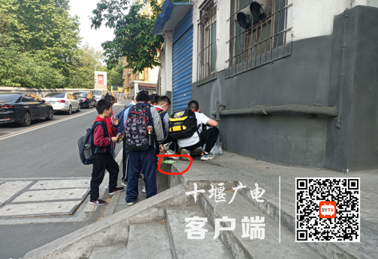 图片5
