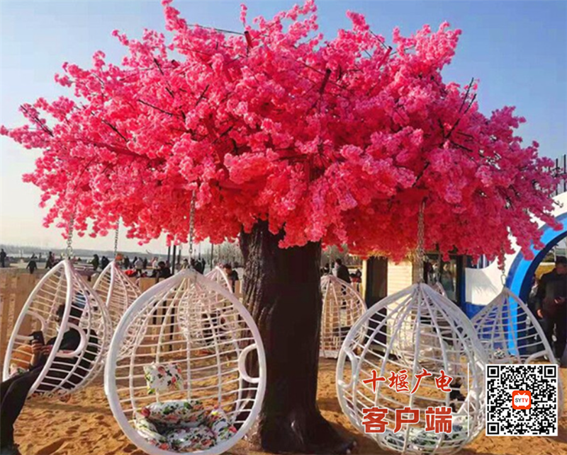 微信图片_20220425111943