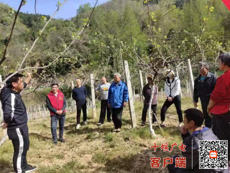 微信图片_20220425151932