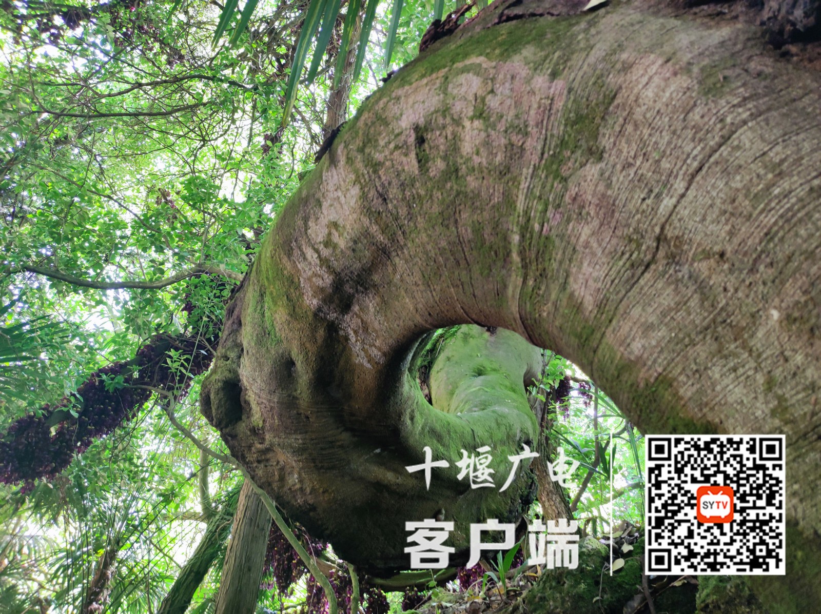 微信图片_20220427151828