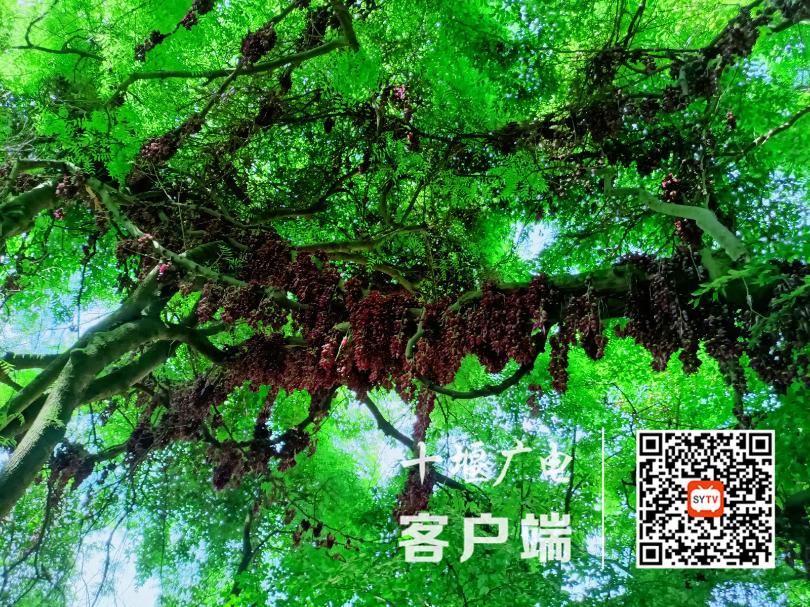 微信图片_20220427151841