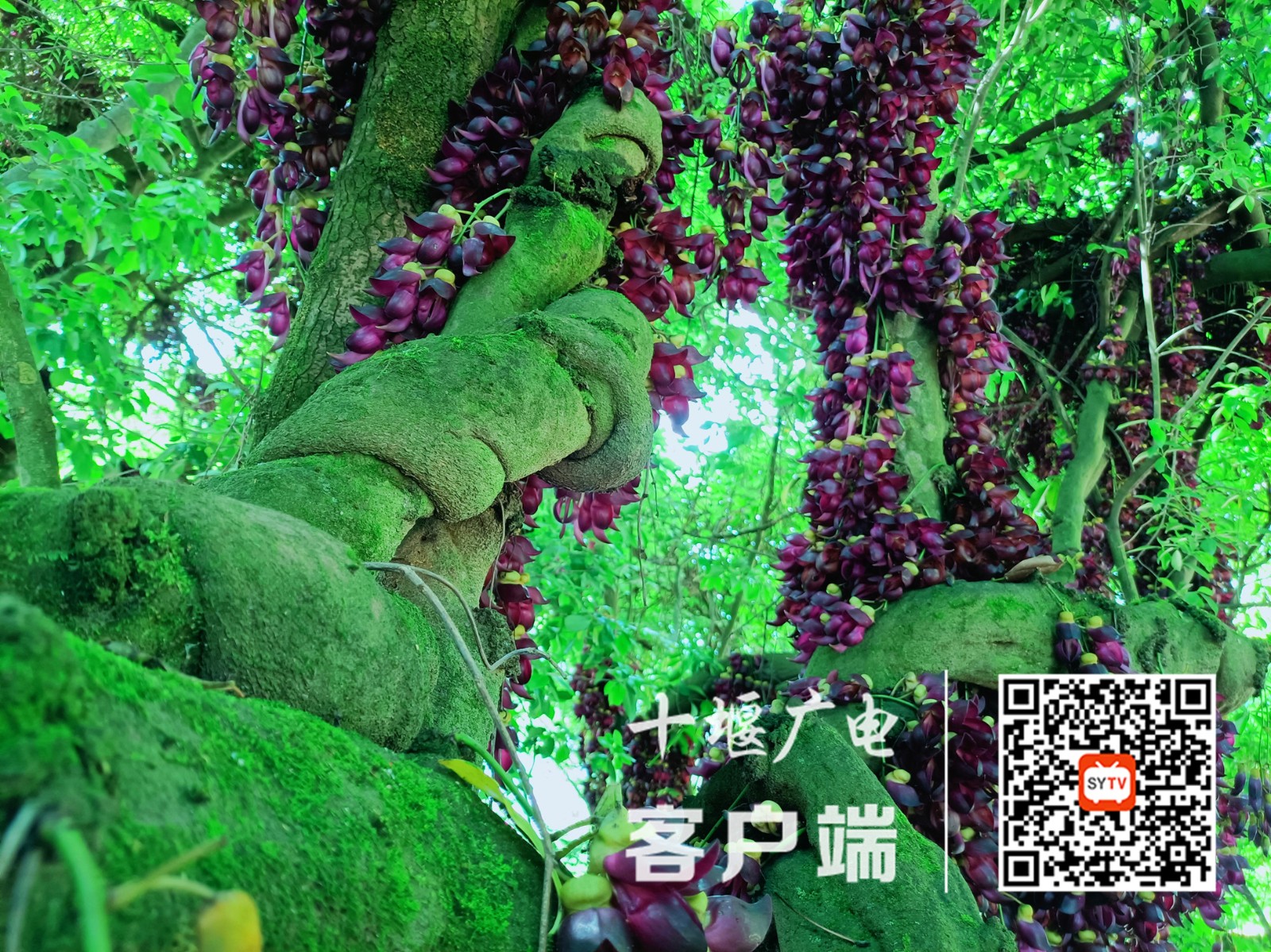 微信图片_20220427151837