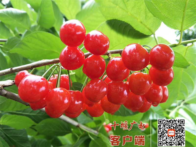 IMG20190507152737