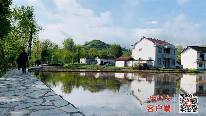 华龙