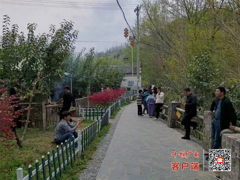 化龙7
