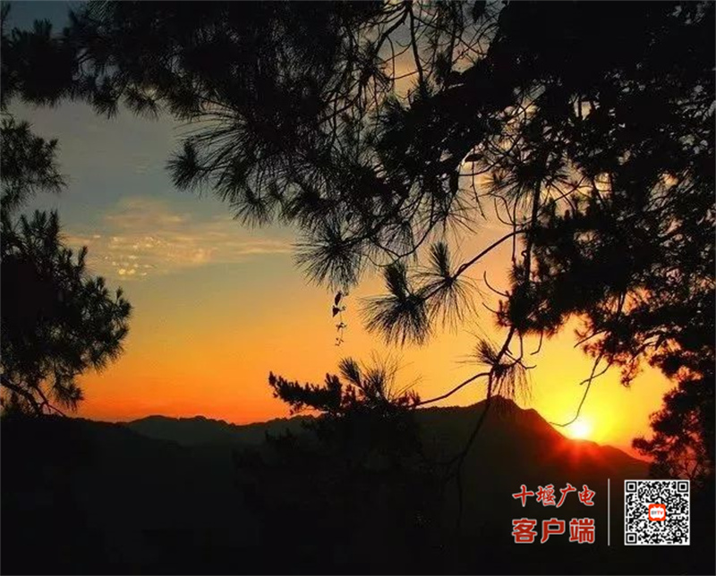 诗经源公园1