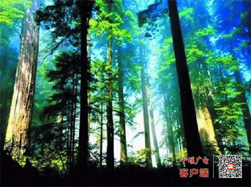 诗经源公园