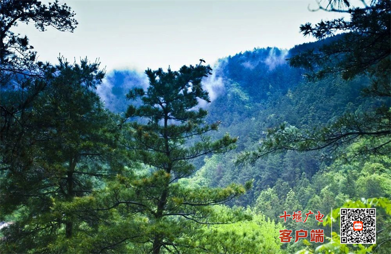 诗经源