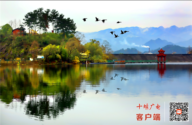 龙湖湿地1 (2)