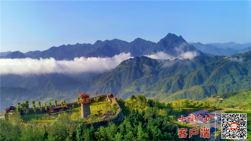 曾家寨1