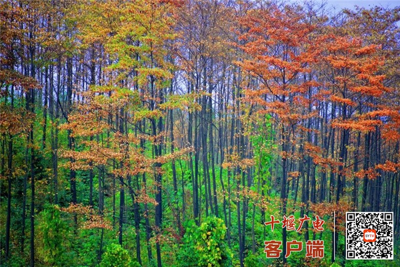 微信图片_20220428085328