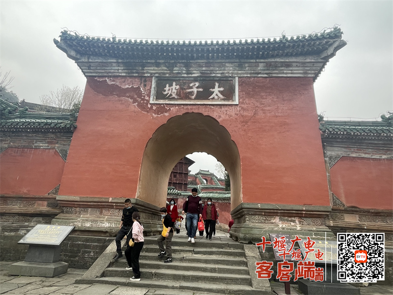 图片4