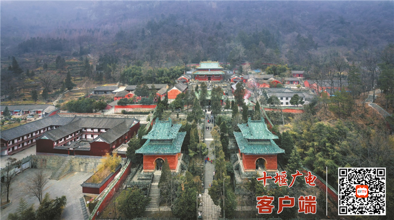 图片7