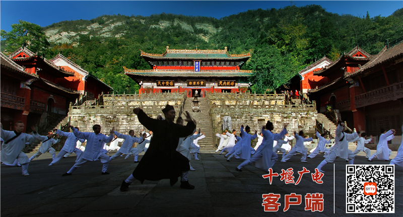 图片8