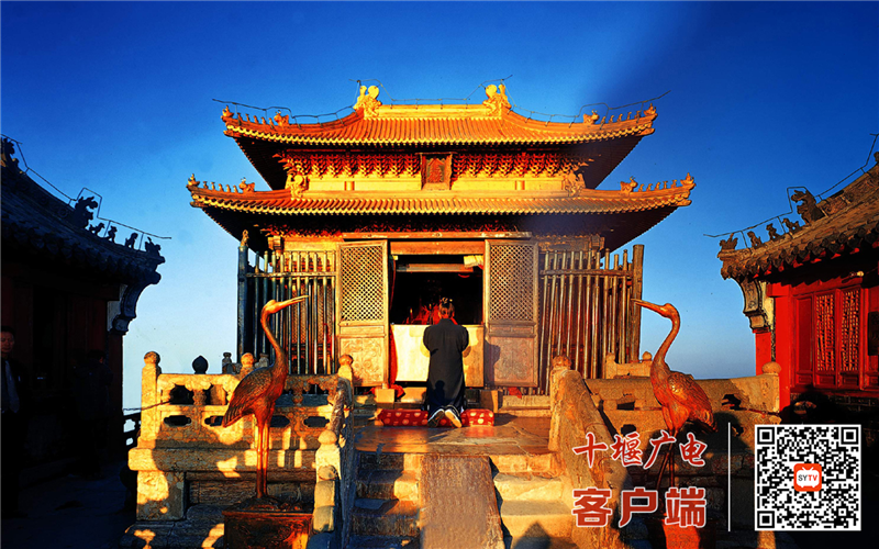 图片11