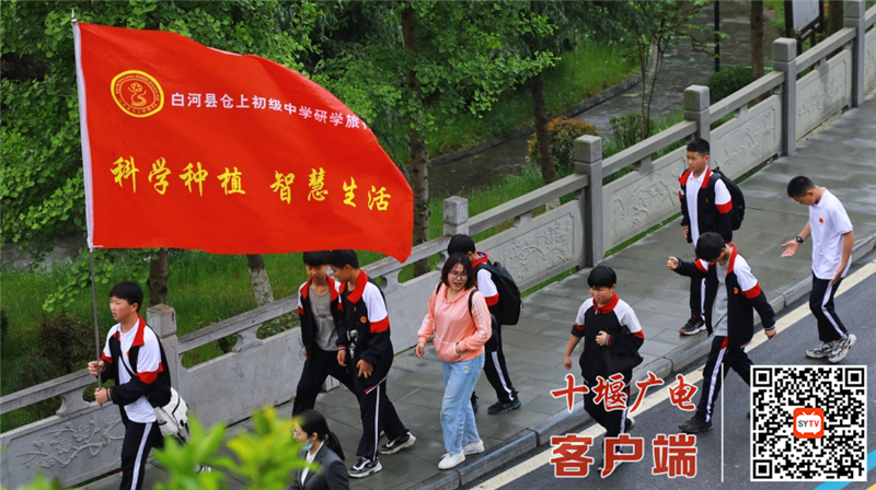 图片8