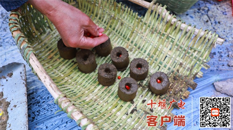 图片10