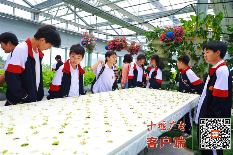 图片15