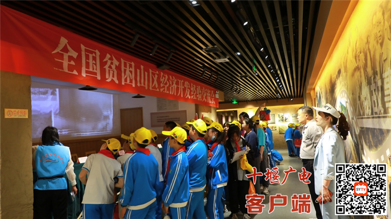 图片31