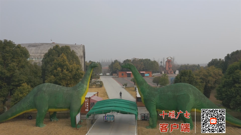 Still1201_00009