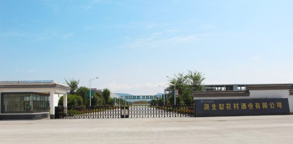 mmexport1651471027243