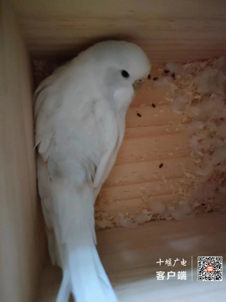 063792a2ece380adad3e49aeb585bfc_副本