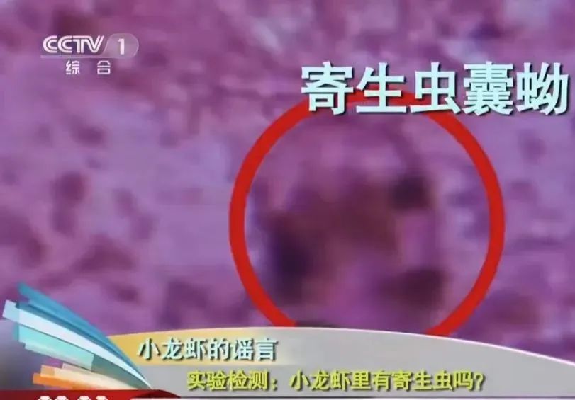 微信图片_20220507121357