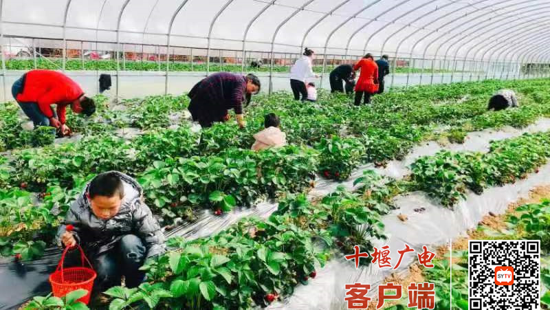 微信图片_20220509100046