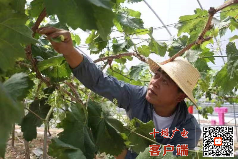 微信图片_20220509100055