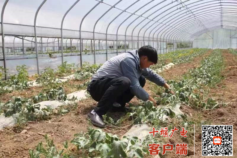 微信图片_20220509100101