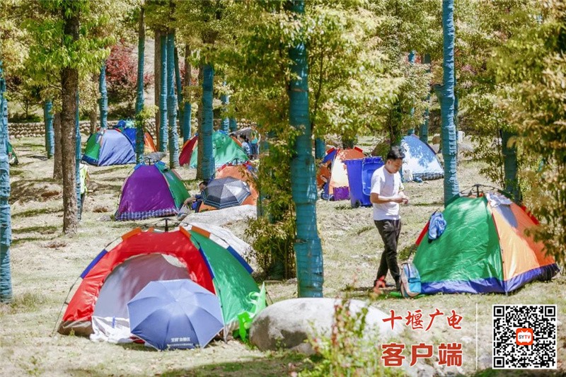 微信图片_20220509103003