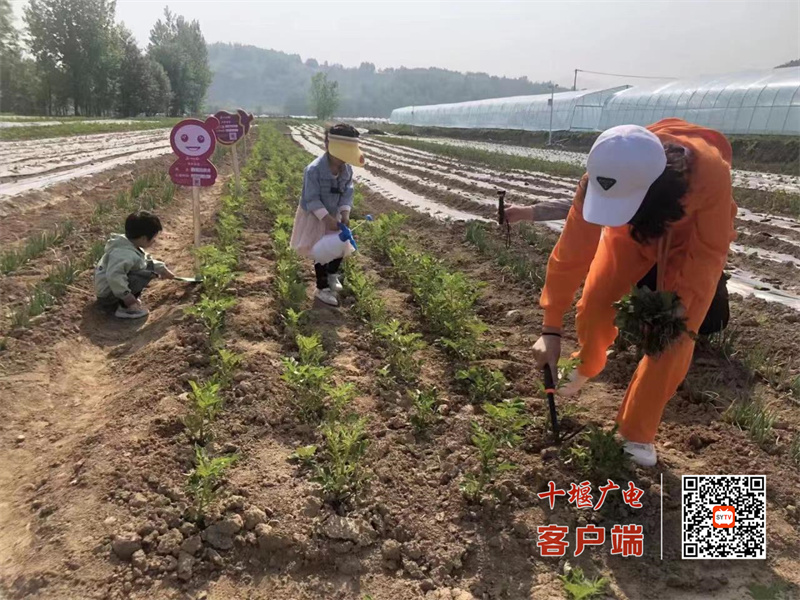 34_副本