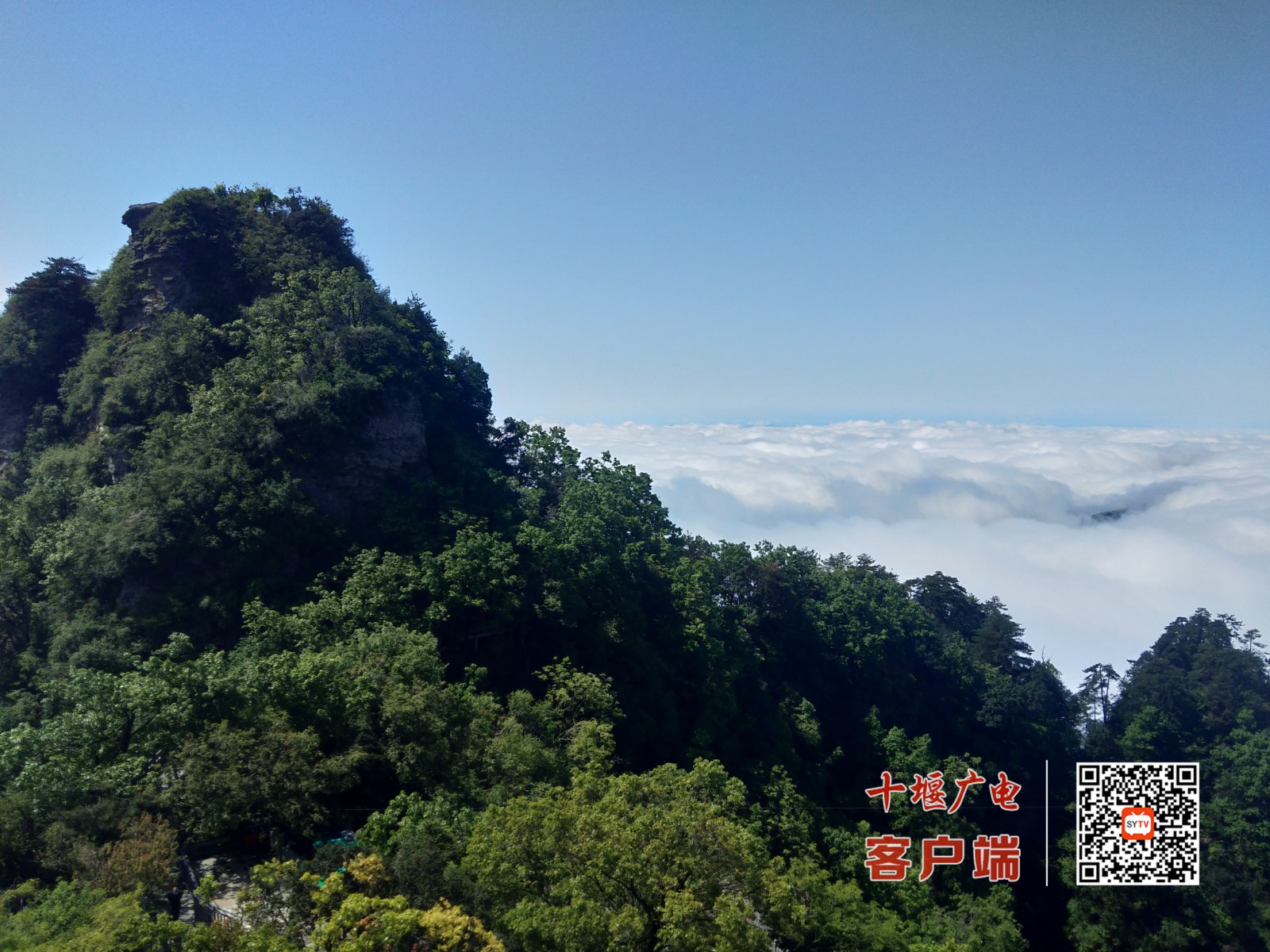 微信图片_20220510135255