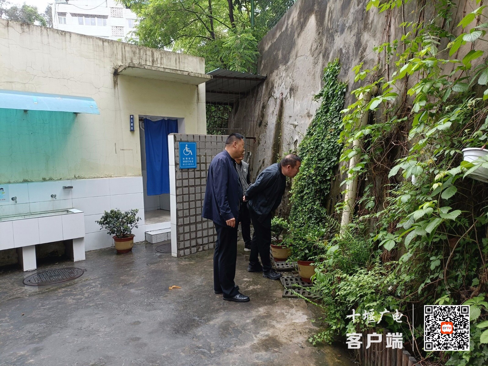 排查_副本