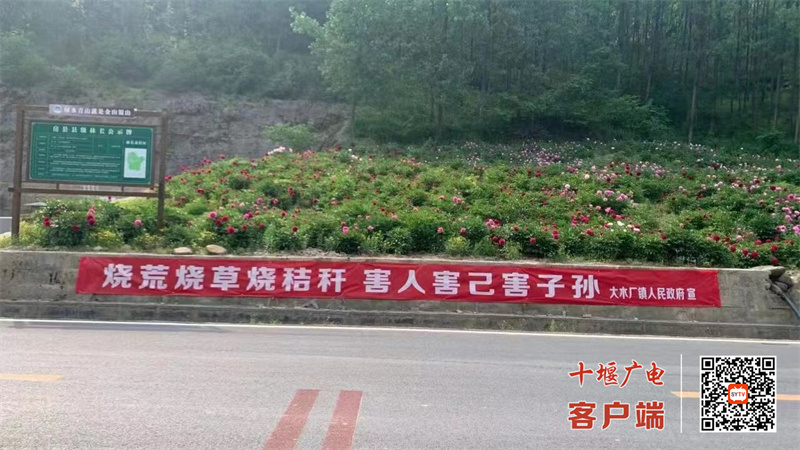 2_副本