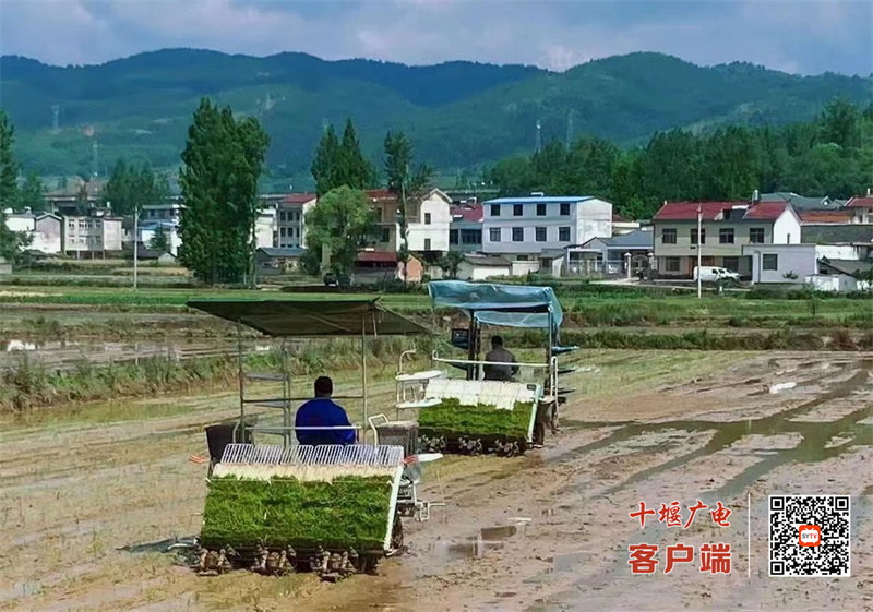 31_副本