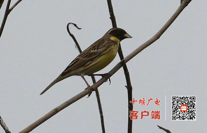 02_副本