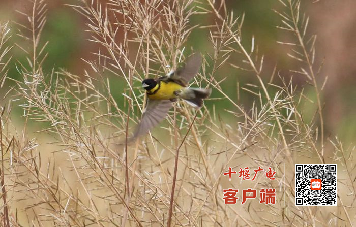01_副本