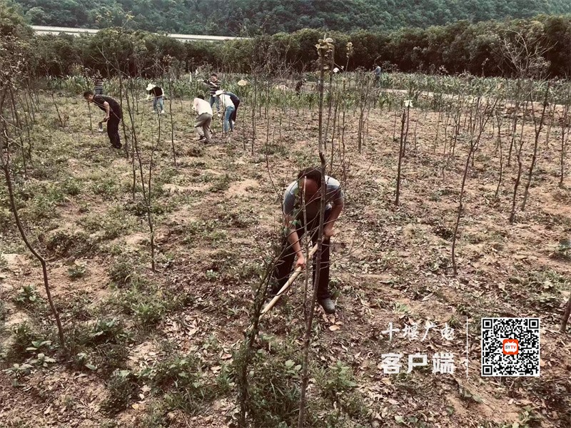 微信图片_20220526182425