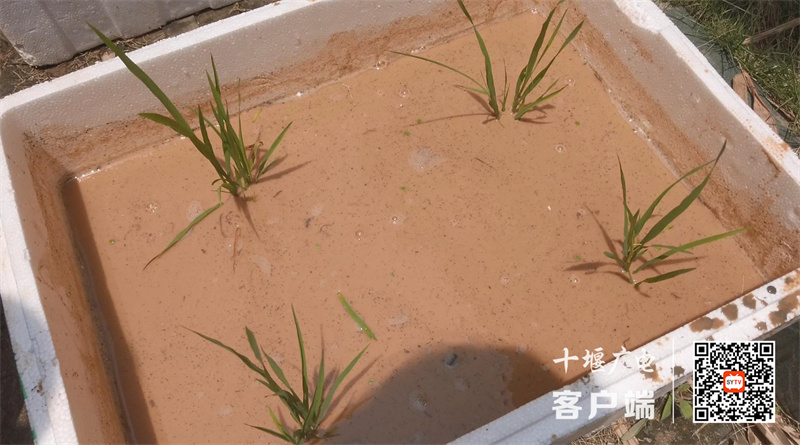 8_副本
