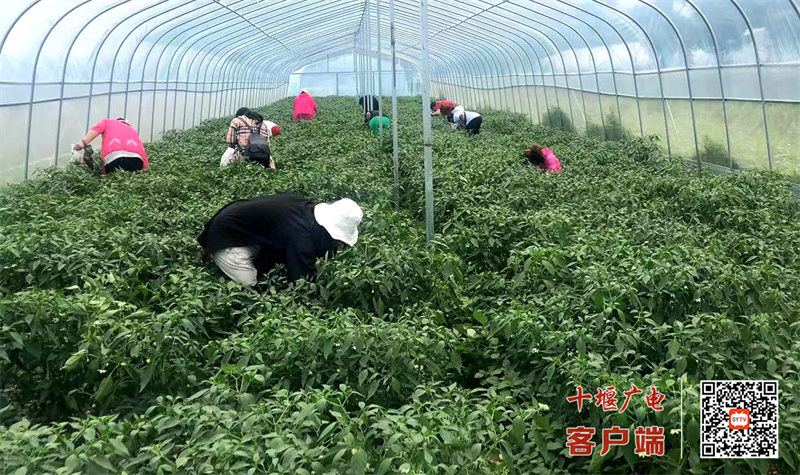 6_副本