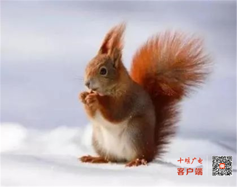 微信图片_20220530134035