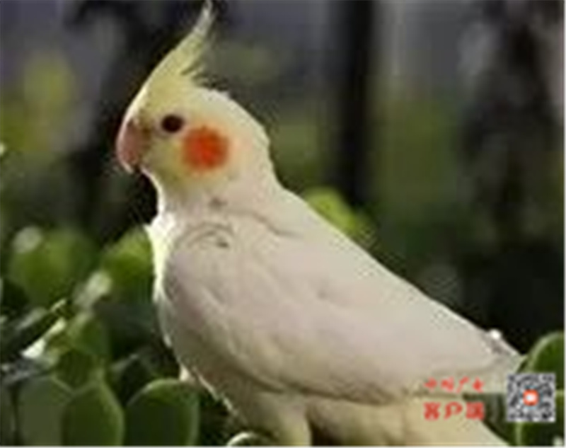 微信图片_20220530134044