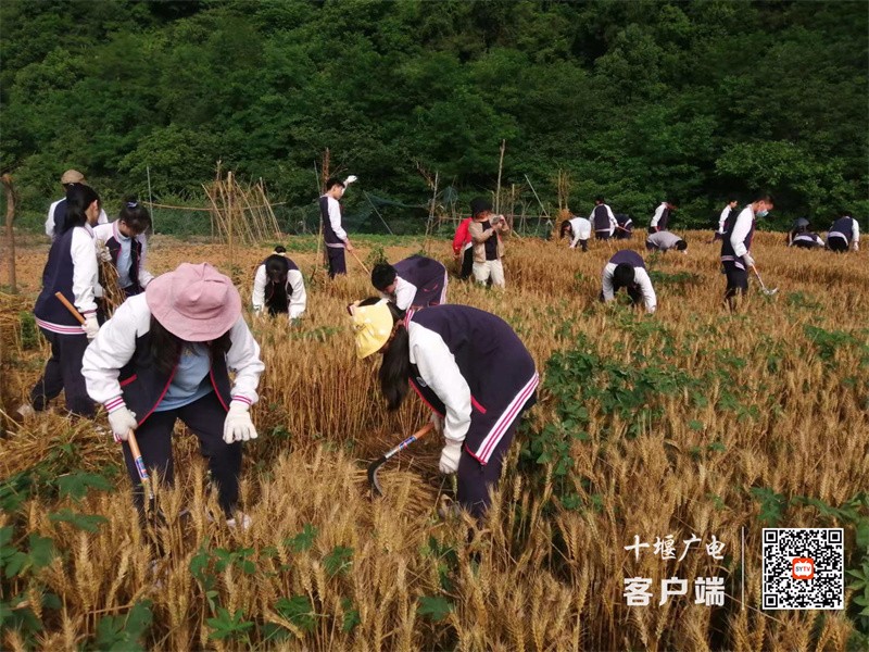 微信图片_20220530180744_副本
