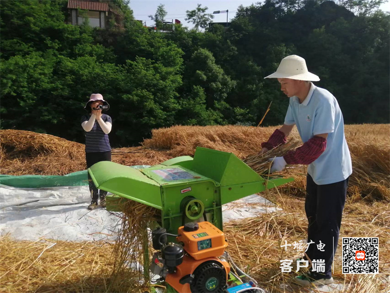 微信图片_20220530180755_副本
