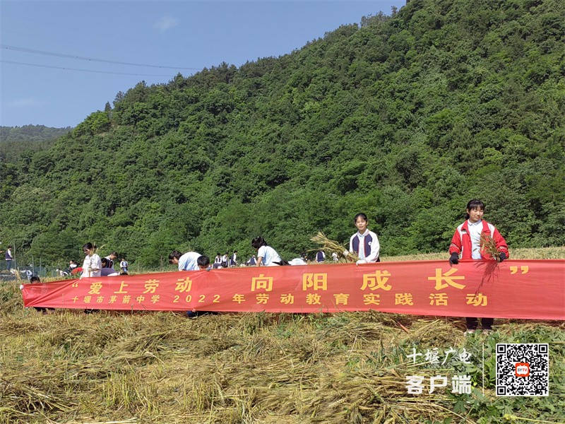 微信图片_20220530181931_副本