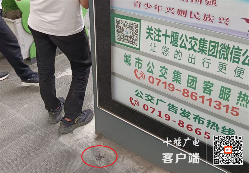 凯旋大道妇幼保健院西院区公交站旁存在随地吐痰现象