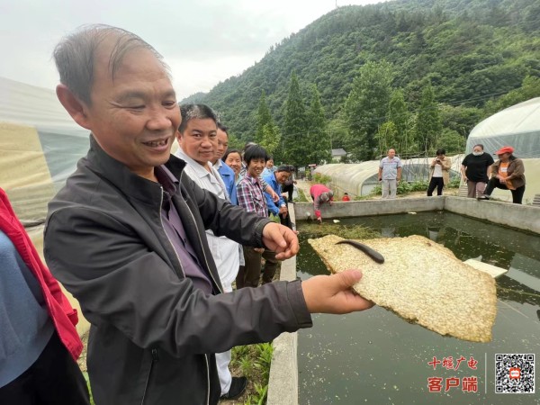 微信图片_20220531162033