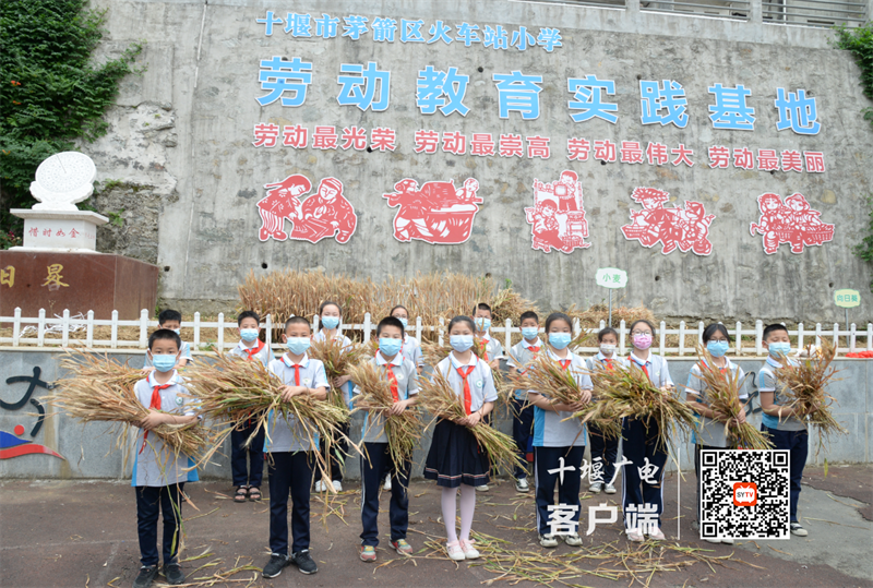 微信图片_20220601134902_副本